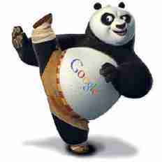 Maxlead - google-panda
